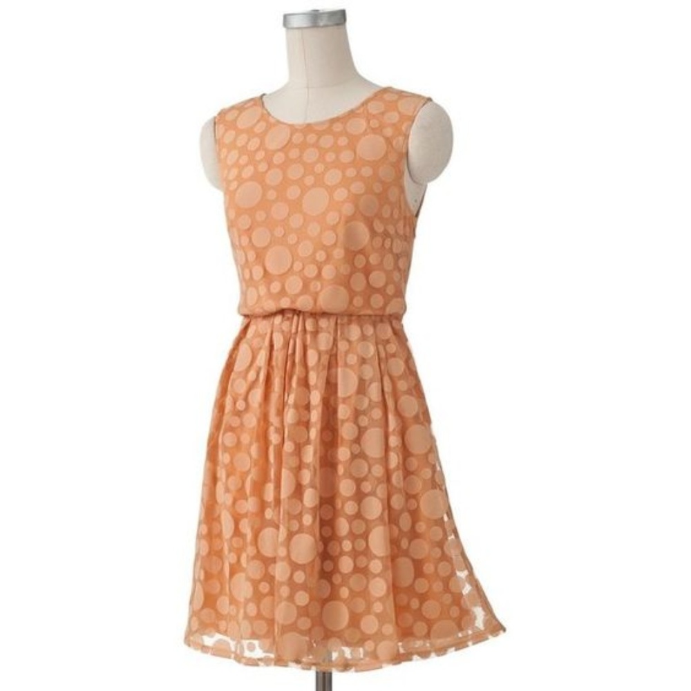 NWOT LC Lauren Conrad Dot Mesh Dress Sz 6